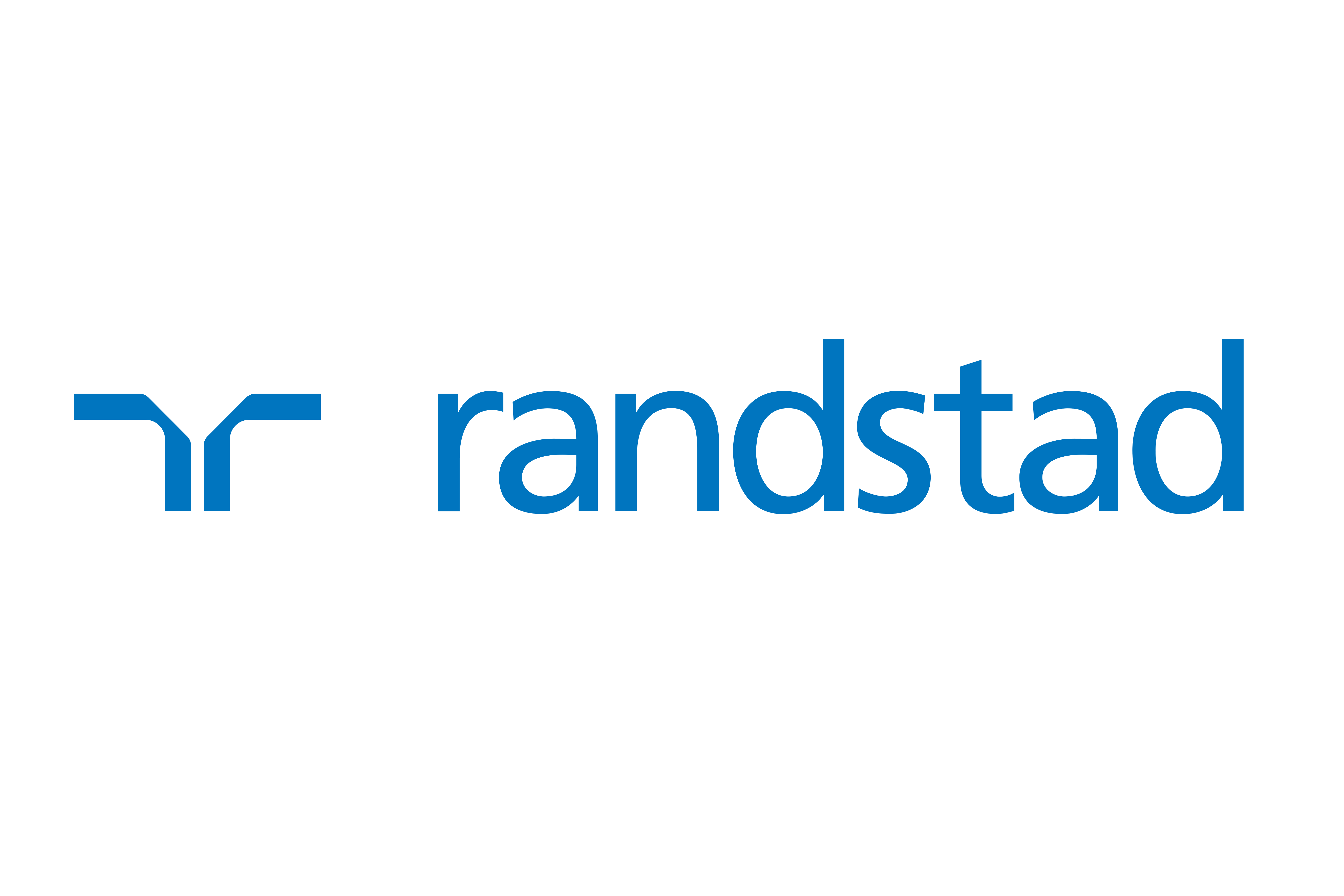 Cooperation with the company - Randstad